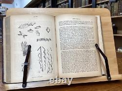 1851 Views of the Microscopic World John Brocklesby Well Illustrated