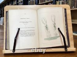 1851 Views of the Microscopic World John Brocklesby Well Illustrated