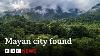 Ancient Mayan City Discovered In Mexico Jungle By Accident Bbc News