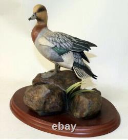 Border Fine Arts Widgeon Water Fowl Of The World Don Briddell Duck New Boxed