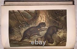 C1900, THE NEW NATURAL HISTORY, by RICHARD LYDEKKER, 72 CHROMOLITHOGRAPHS, 6 VOL