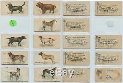 N163 Goodwin Dogs of the World Nice Near Set (short 7) NEW PRICE