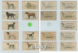 N163 Goodwin Dogs of the World Nice Near Set (short 7) NEW PRICE