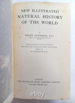 New Illustrated Natural History of the World (Ernest Protheroe) (ID76536)