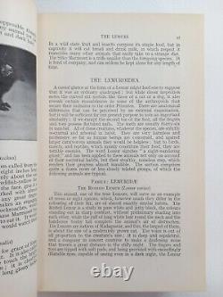 New Illustrated Natural History of the World (Ernest Protheroe) (ID76536)