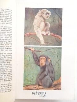 New Illustrated Natural History of the World (Ernest Protheroe) (ID76536)