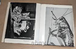 New Photograms A Selection of the Worlds Finest Photographs 1962