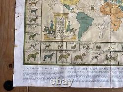 RARE Dog Map Of The World 1935 by J. L. Smith for The Illustrated London News