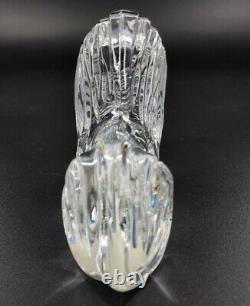 Waterford Crystal Resting LION Figurine Animals of The World New Open Box Figure