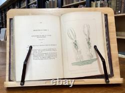1851 Vues du Monde Microscopique John Brocklesby Bien Illustré