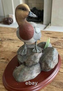 Border Fine Arts Widgeon Water Fowl Of The World Don Briddell Duck Nouveau Boxed