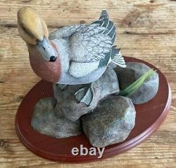 Border Fine Arts Widgeon Water Fowl Of The World Don Briddell Duck Nouveau Boxed