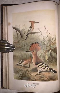 C1900, LA NOUVELLE HISTOIRE NATURELLE, par RICHARD LYDEKKER, 72 CHROMOLITHOGRAPHIES, 6 VOL.