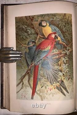 C1900, LA NOUVELLE HISTOIRE NATURELLE, par RICHARD LYDEKKER, 72 CHROMOLITHOGRAPHIES, 6 VOL.