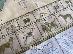 Carte rare des chiens du monde en 1935 par J. L. Smith pour The Illustrated London News