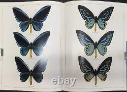 Les Papillons Birdwing du Monde Nouvelle Édition Révisée Livre Bernard D'Abrera 1975