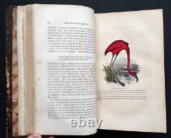 Livre antique de 1858 sur les héros pionniers du Nouveau Monde avec des gravures coloriées à la main