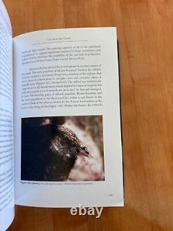 Monde Perdu des Hauts Plateaux de Guyane, Stewart Mc Pherson, Redfern Publishing, NEUF