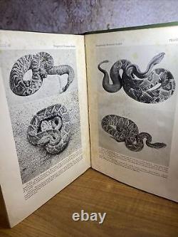 Serpents du monde INSCRIPTION 1932 SIGNÉ Raymond L. Ditmars Zoo de New York F4