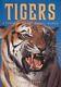 Tigers Portrait Du Monde Animal By Lee Server, New Line Books